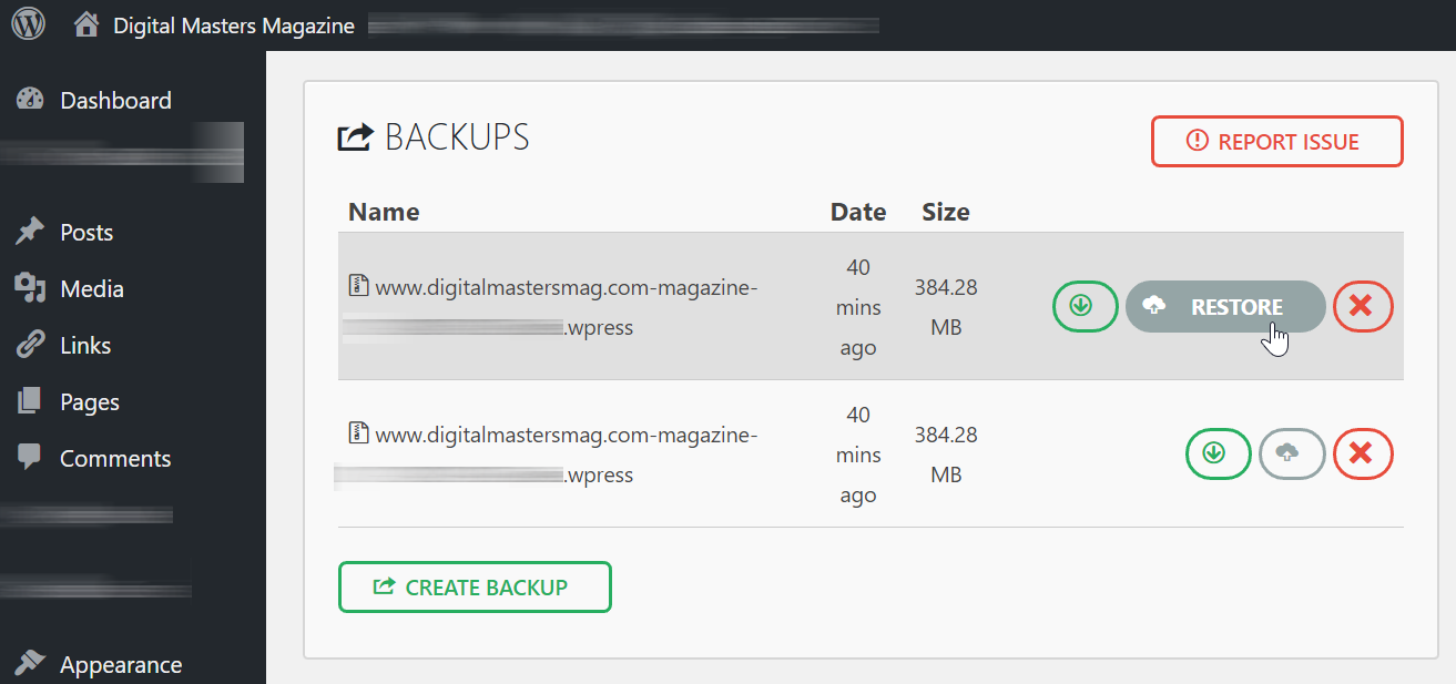 All-in-One WordPress Migration: Backups